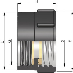 IBC adapteris FF S60x6 - 1" 0102444050766