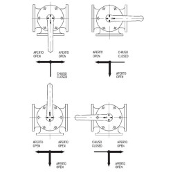 Trijų padėčių vožtuvas 3" 3000002