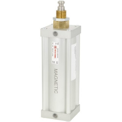Pneumatinis cilindras 6" standartinis + magnetas 6008200Z