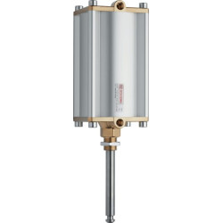 Pneumatinis cilindras 10" 10003057