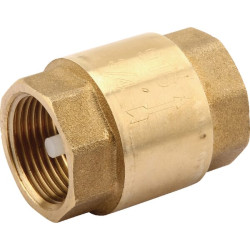 Atbulinis vožtuvas 3/4" WK51002