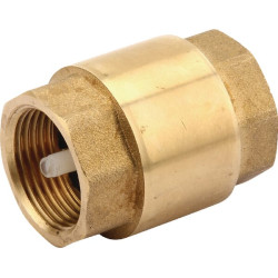 Atbulinis vožtuvas 3/4" WK51002