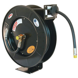 Sieninė žarnos ritė C808350M