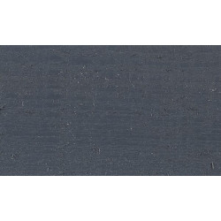 Medienos konservantas mėlynas 2,5 l 017194175258KR