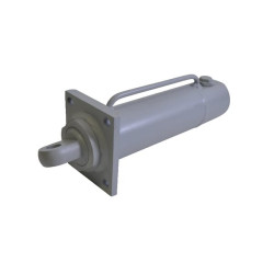 Cilindro greito atleidimo CW3 fl D4060110CW3