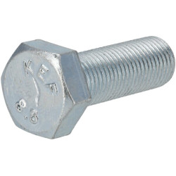 Ratų varžtas 1000048033