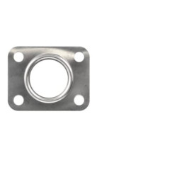 Išmetimo kolektoriaus tarpinė 4899343FPT