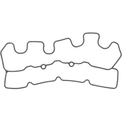 Vožtuvo dangtelio tarpinė 1000244951