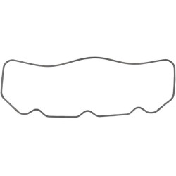 Vožtuvo dangtelio tarpinė 1000107482