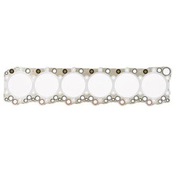 Cilindro galvutės tarpinė 504338164FPT