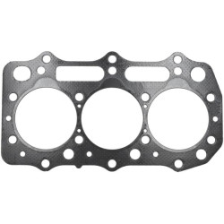 Cilindro galvutės tarpinė 1000203230