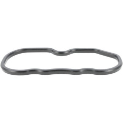 Vožtuvo dangtelio tarpinė 1522114520