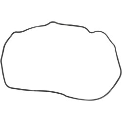 Vožtuvo dangtelio sandariklis 1000104765