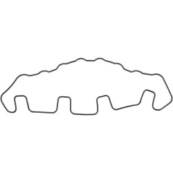 Vožtuvo dangtelio tarpinė 1000314662