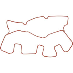 Vožtuvo dangtelio tarpinė 1000308127