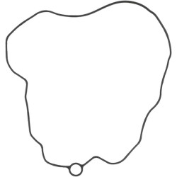 Vožtuvo dangtelio tarpinė 1000450149