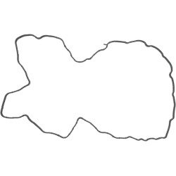 Vožtuvo dangtelio sandariklis 1000326758