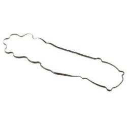 Vožtuvo dangtelio tarpinė 5801714864FPT