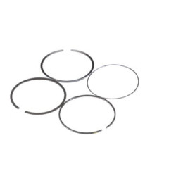 Standartiniai stūmokliniai žiedai 8097860FPT