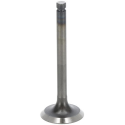 Išmetimo vožtuvas 1142013122