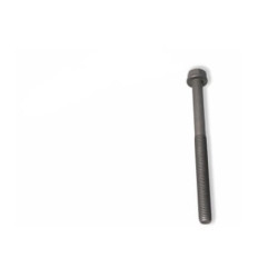 Cilindro galvutės varžtas 4891025FPT