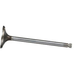 Išmetimo vožtuvas 4895188FPT