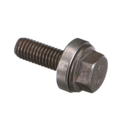 Cilindro galvutės varžtas 5801691945FPT