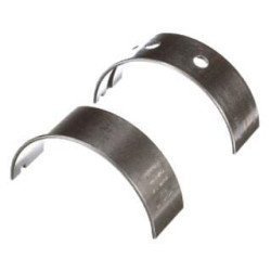 Pagrindinių guolių komplektas standartinis 500055813FPT