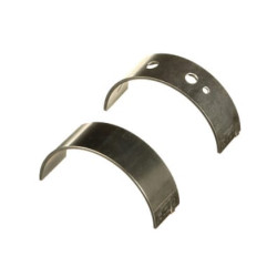 Pagrindinių guolių komplektas 500086098FPT