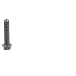 Jungiamojo strypo varžtas 504015229FPT