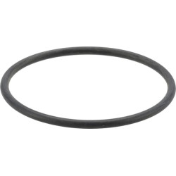 Kuro siurblio sandariklis 1000313205