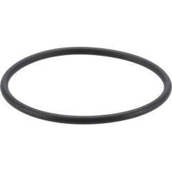 Kuro siurblio sandariklis 1000485079