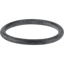 Kuro siurblio tarpinė 1000167025