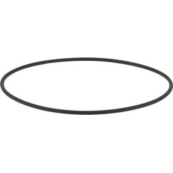 Kuro siurblio sandariklis 1000256761