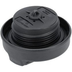 Kuro įpylimo angos dangtelis RG51851120