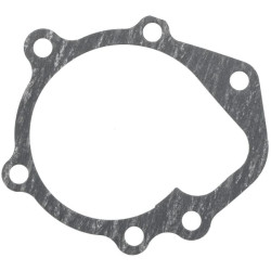 Vandens siurblio tarpinė 1000104768