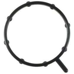 Vandens siurblio tarpinė 1000256907