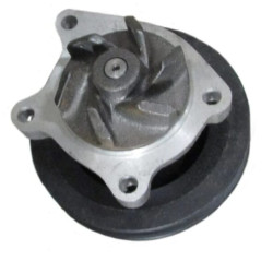 Vandens siurblys 1730373032