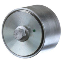 Kreipiamasis skriemulys 504006261FPT