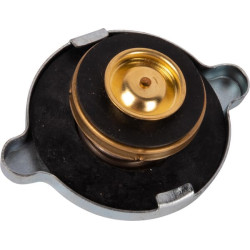 Radiatoriaus dangtelis JC12160601