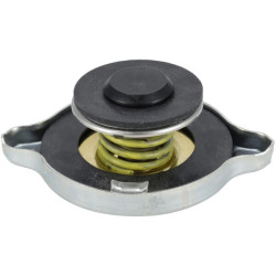 Radiatoriaus dangtelis MA702369