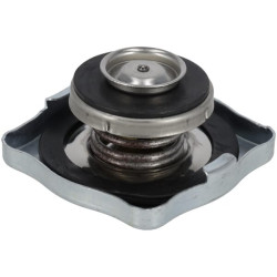 Radiatoriaus dangtelis MA745061