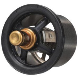 Termostatas 504096443FPT