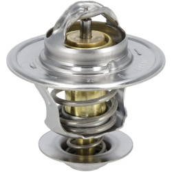 Termostatas MA942766