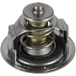 Termostatas MA964827