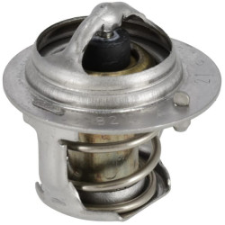 Termostato mazgas 1G36273012