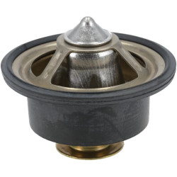 Termostatas MA52726168