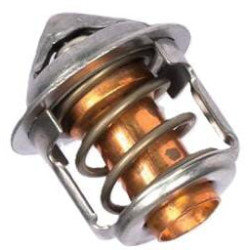 Termostatas 145206270