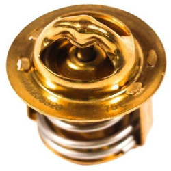 Termostatas 145206320