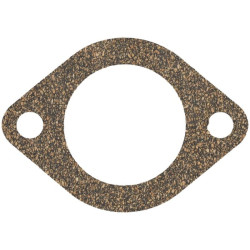 Termostato tarpinė 1000203229